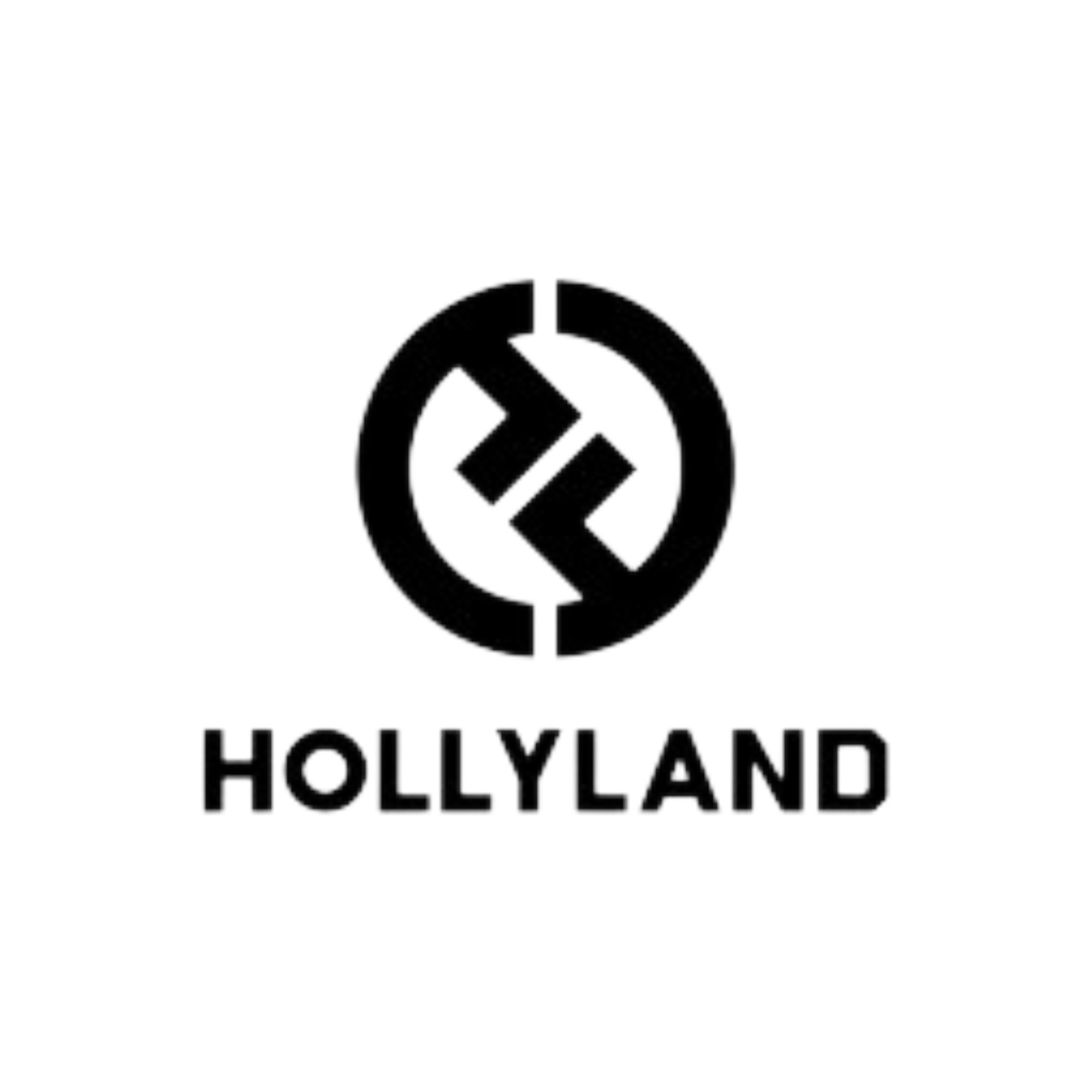 Hollyland