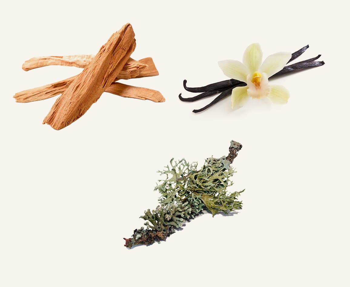 عطر لوف رياكشن من رامون مونيجال 100مل