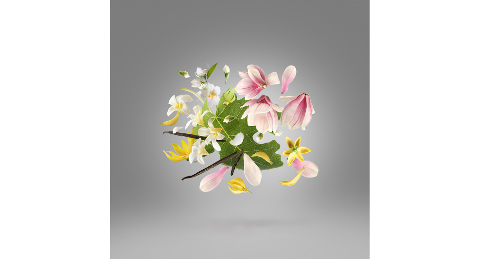عطر أوفرتشر من زيرجوف