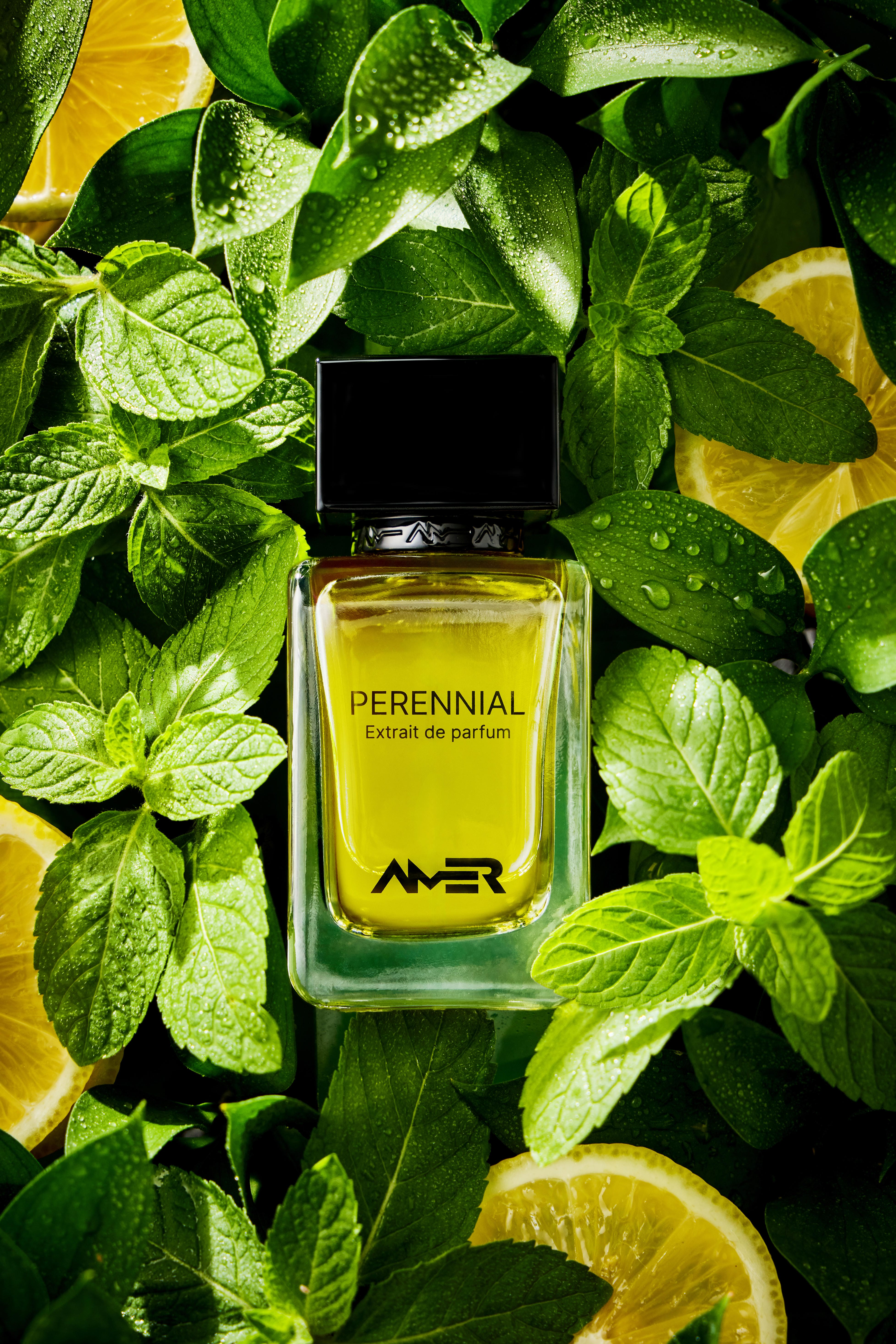   عطر بيرينال من عامر بيرفيومز 50مل  | PERENNIAL By AMER PERFUMES 50ml 