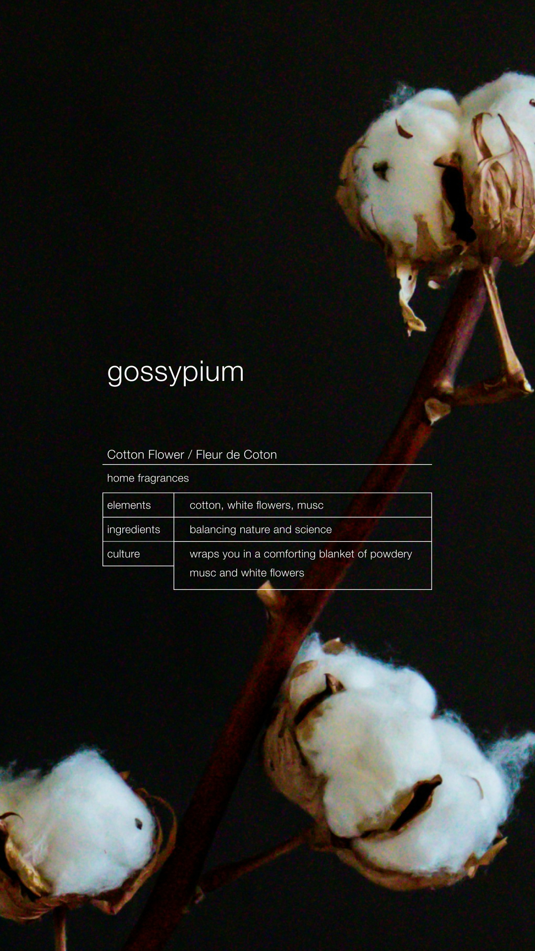  Gossypium Room Spray by Zenology 