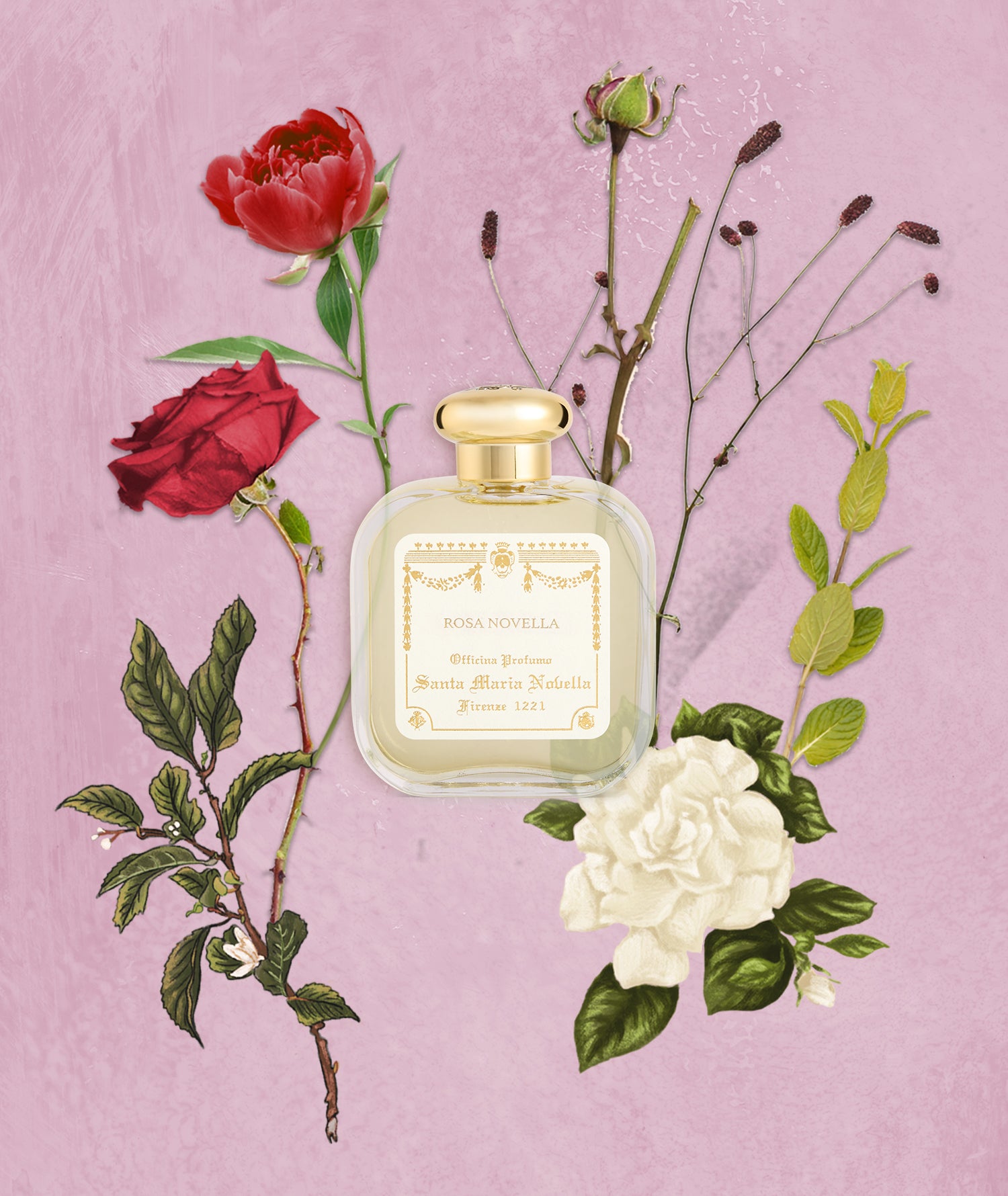  عطر روزا نوفيلا من سانتا ماريا نوفيلا 