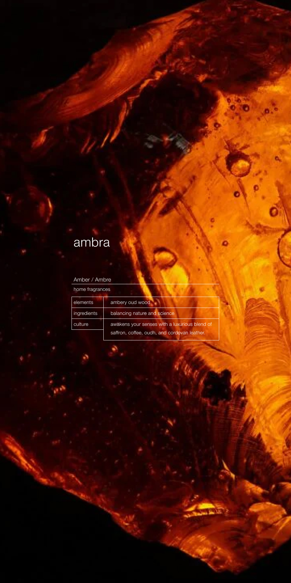 مرش امبرا من زينولوجي | Ambra Room Spray by Zenology 