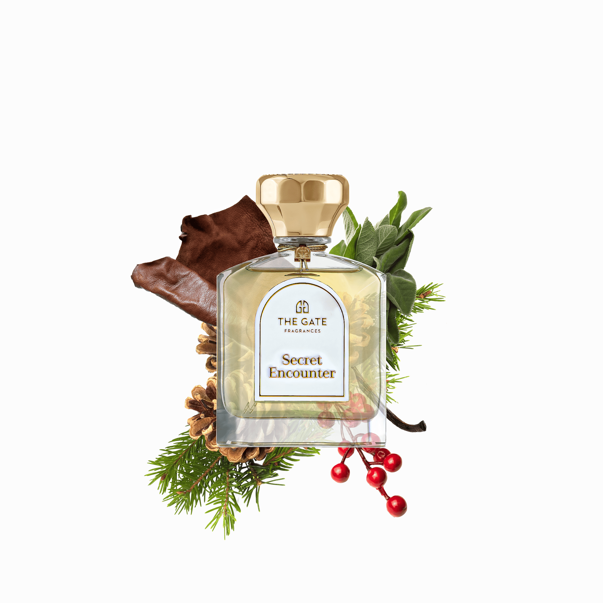  عطر سيكريت انكاونتر من ذا جيت 100مل | Secret Encounter By The Gate 100ml 