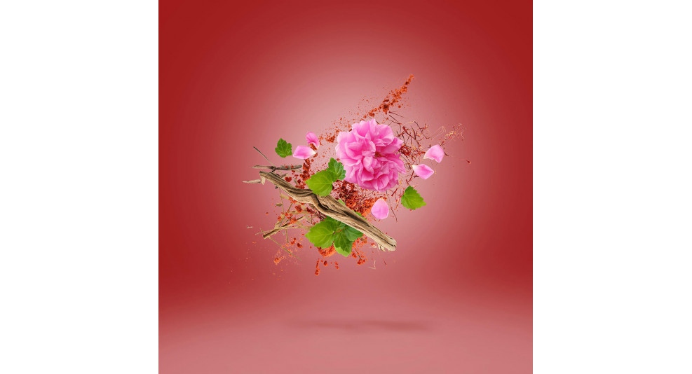 عطر وارداسينا من زيرجوف
