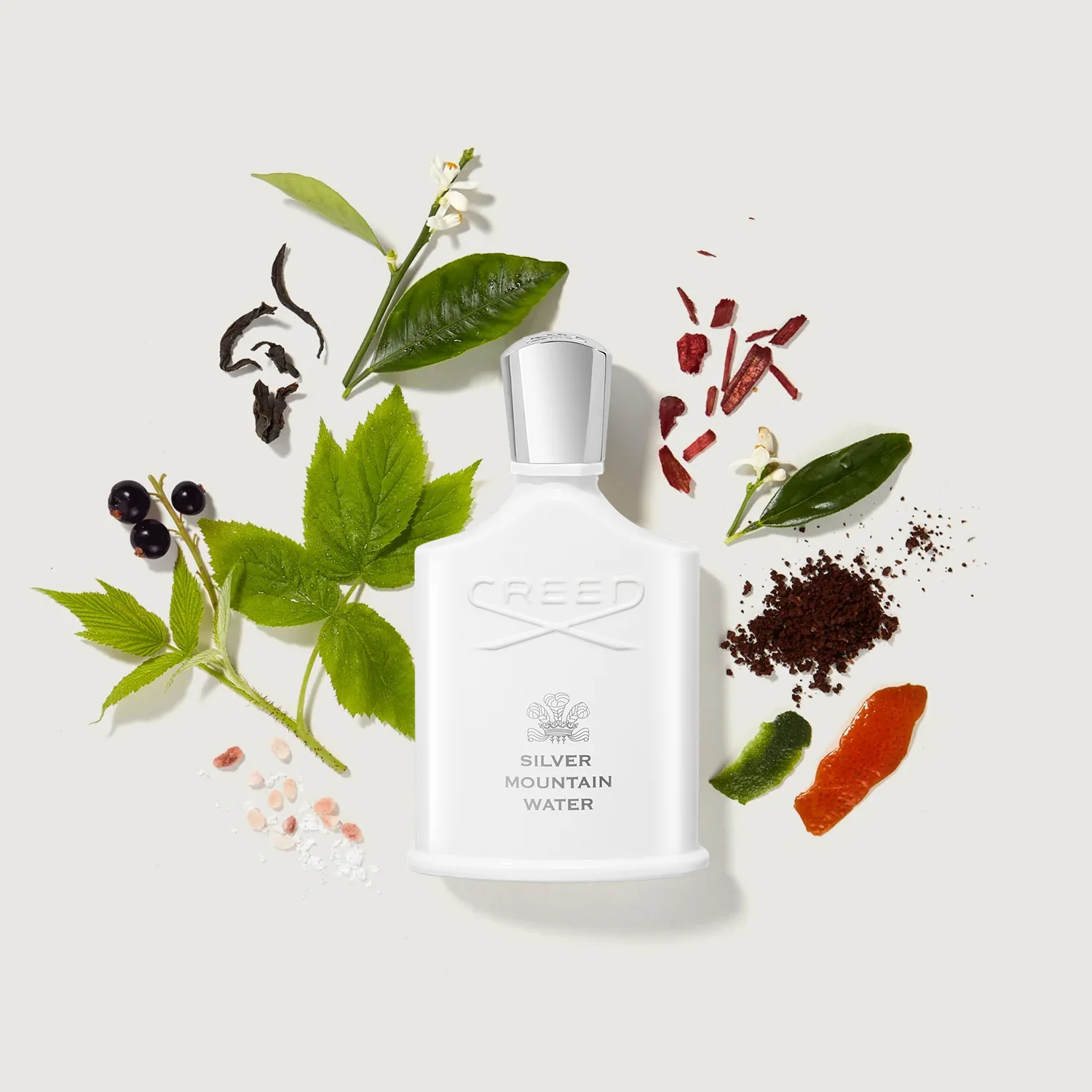  عطر سيلفر ماونتين واتر من كريد 100مل | Silver Mountain Water by CREED 100ml 