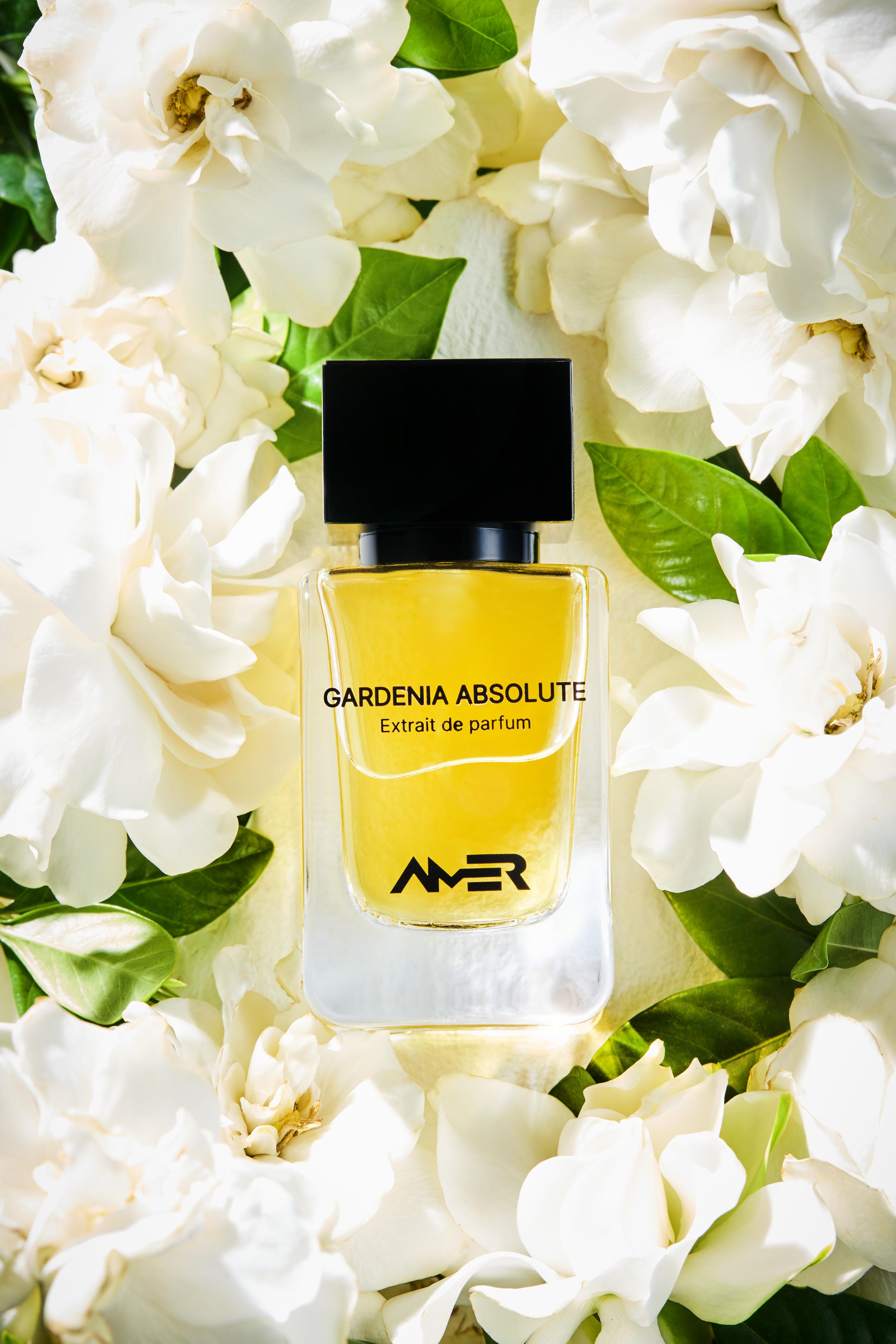  عطر غاردينيا أبسولوت من عامر بيرفيومز 50مل  | GARDENIA ABSOLUTE By AMER PERFUMES 50ml 
