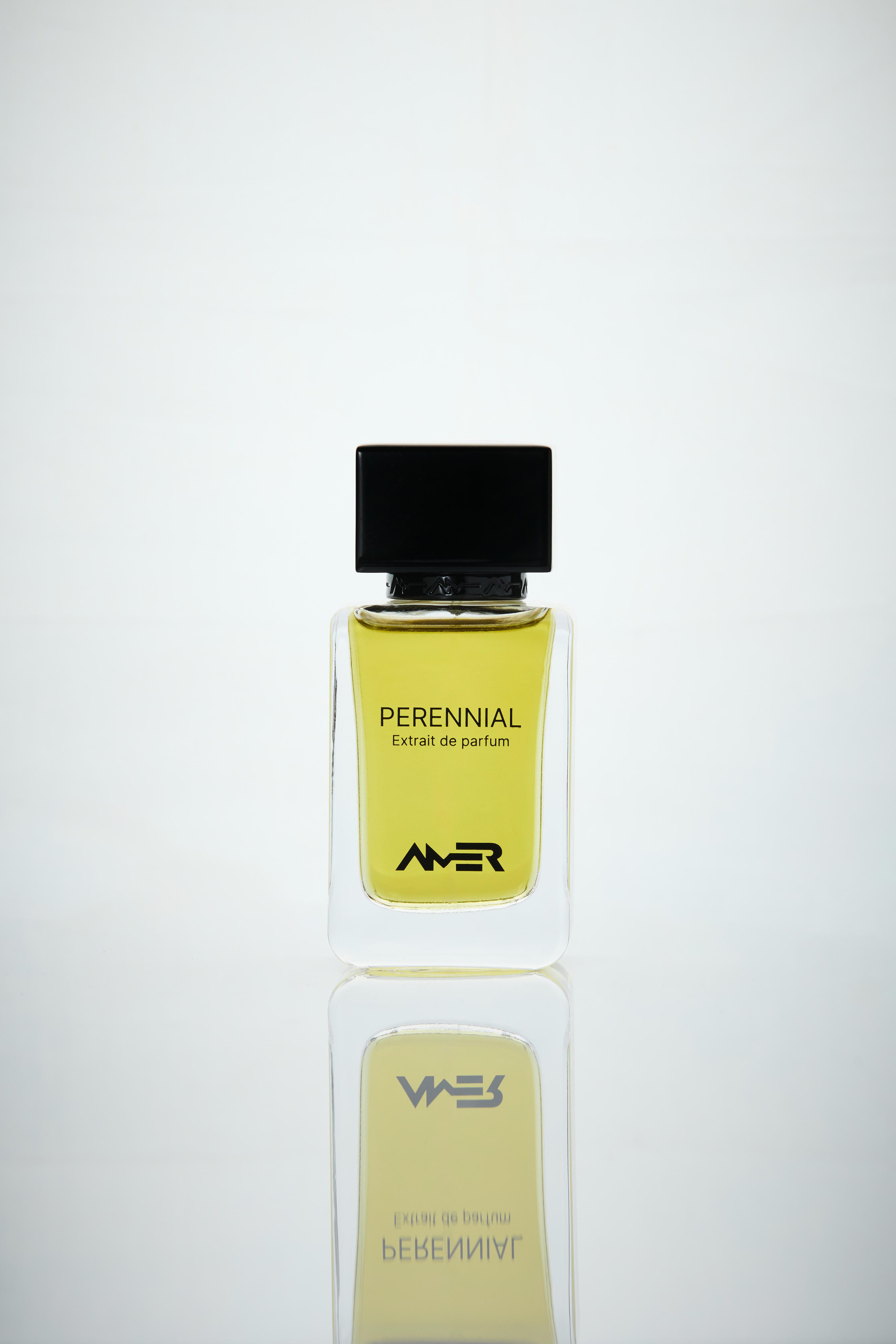   عطر بيرينال من عامر بيرفيومز 50مل  | PERENNIAL By AMER PERFUMES 50ml 