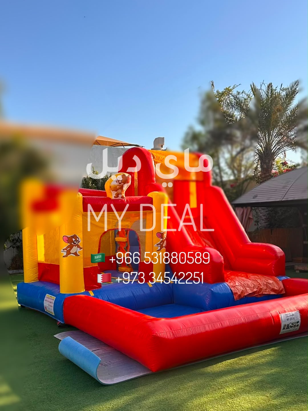 تاجير زحليقة مع نطيطة مع حوض تستخدم جافة ومائي 4* 4 *3 متر شخصية جيري