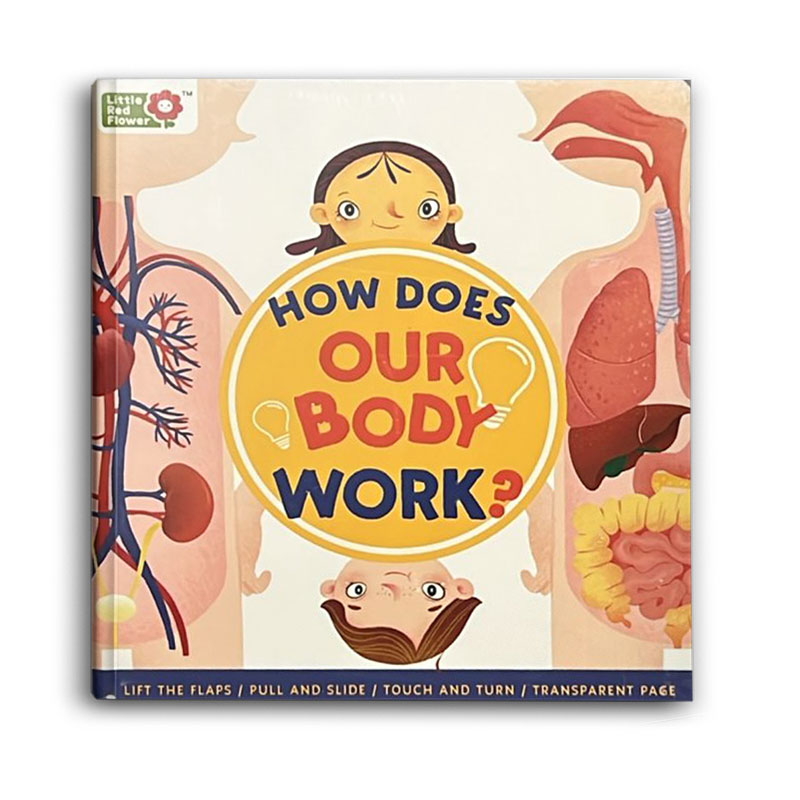  ?How Does Our Body Work 