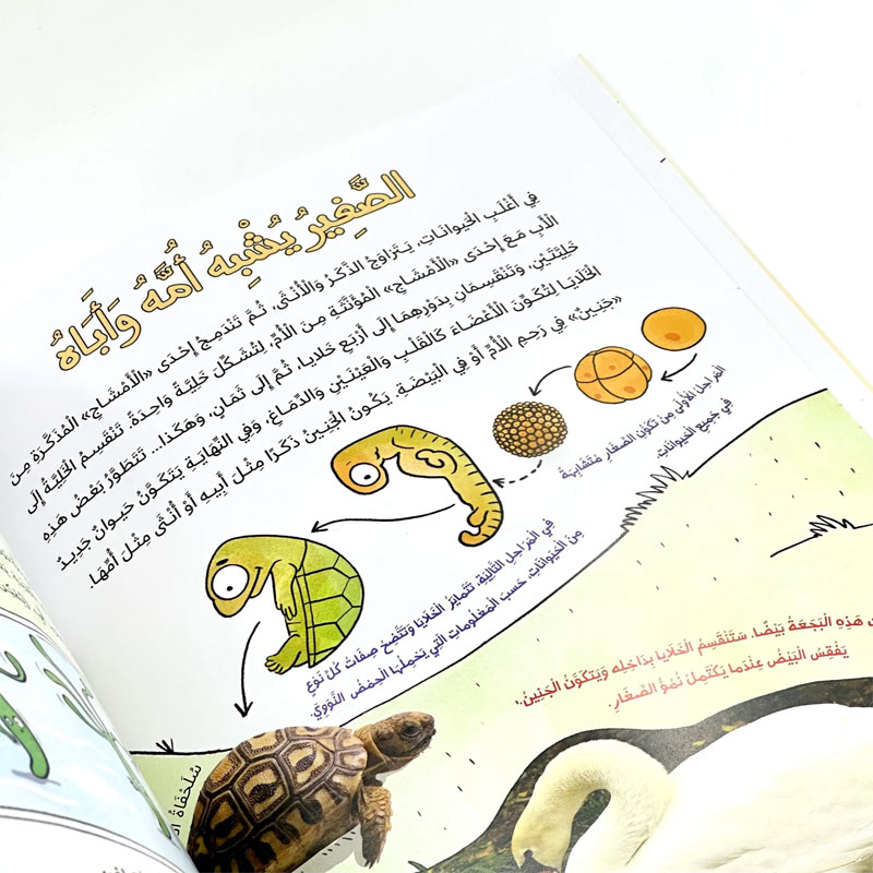  موسوعة دورة حياة الحيوانات 