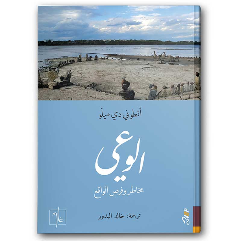  الوعي مخاطر وفرص الواقع 