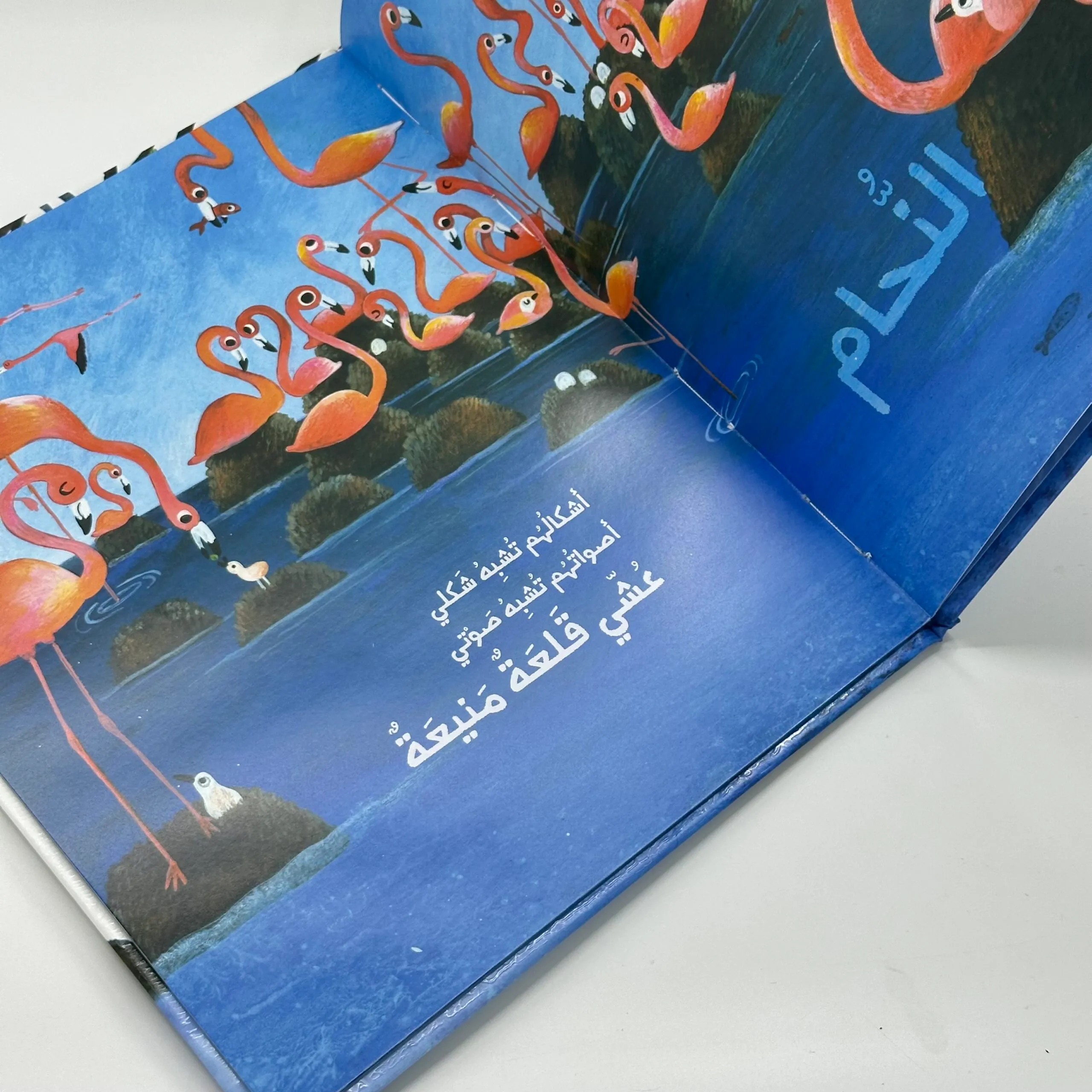  هذا عشي 
