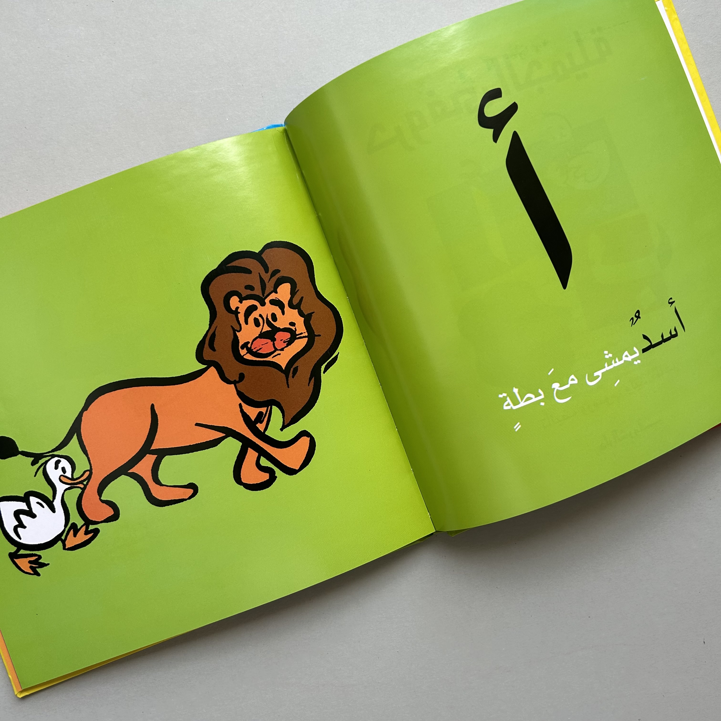  حروفي الجميلة  
