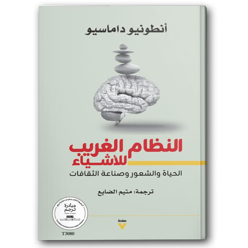  النظام الغريب للأشياء 