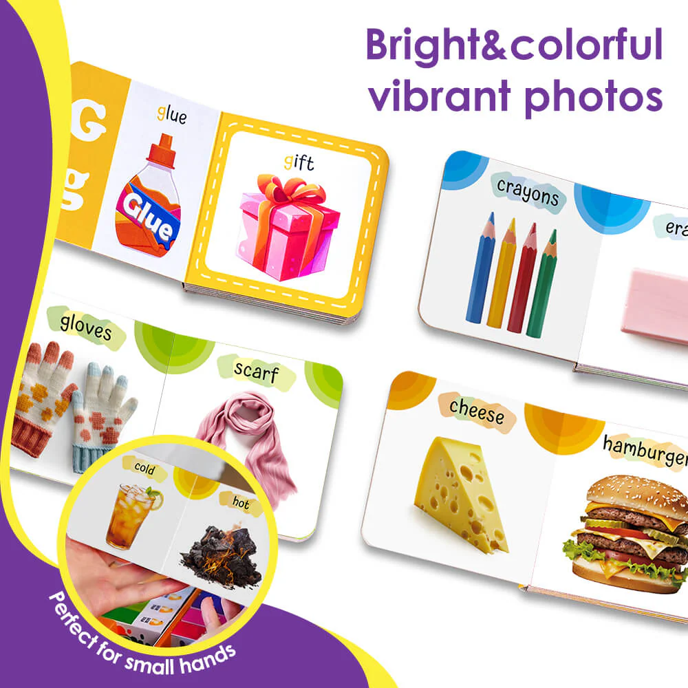  Early Learing Board Book Set (12 Board Books) 