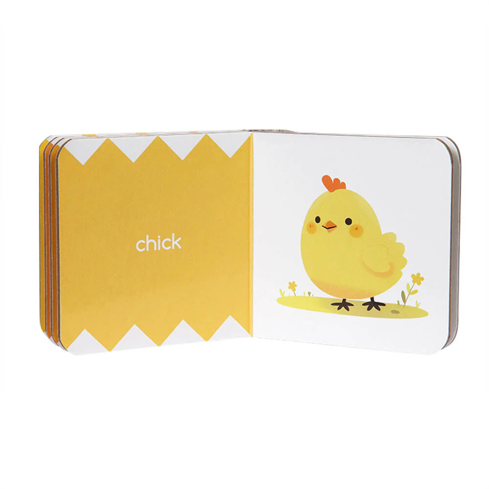  Colors Board Book Set (10 Board Books) 