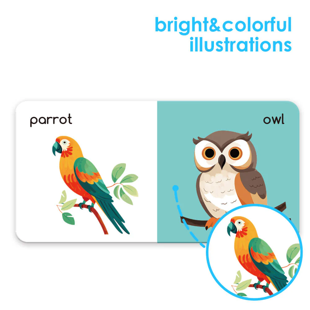  Animal Board Book Set (8 Board Books) 