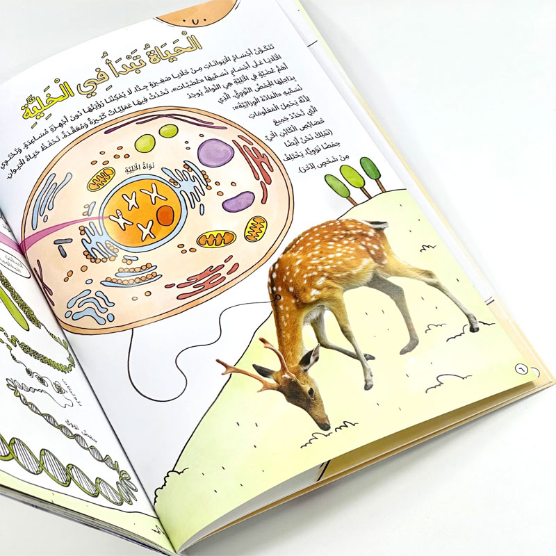  موسوعة دورة حياة الحيوانات 