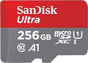 Memory Card SanDisk 256GB