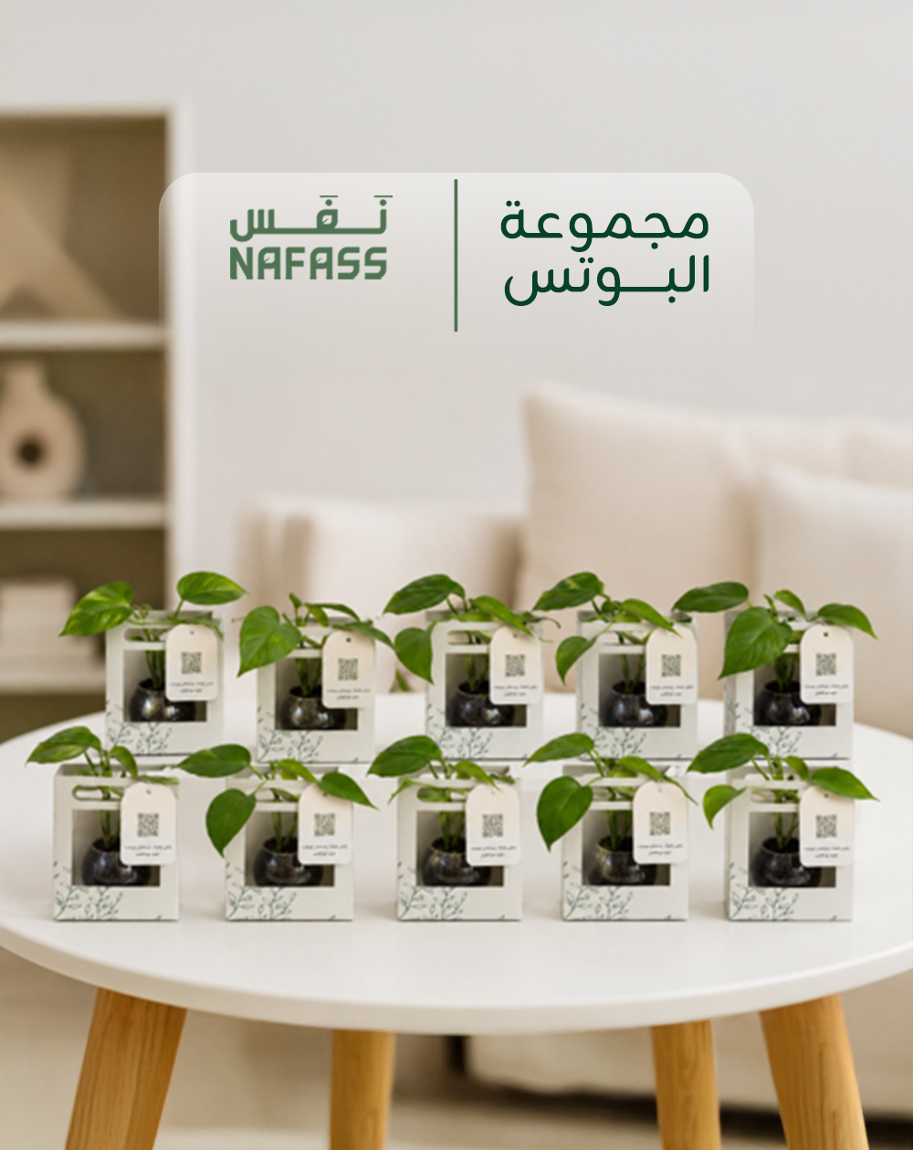 مجموعة البوتس (10 حبات)