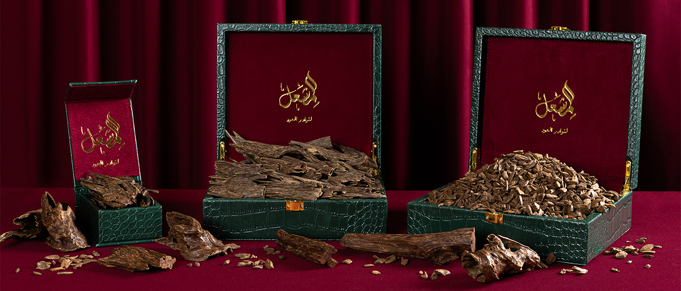 نوادر العود