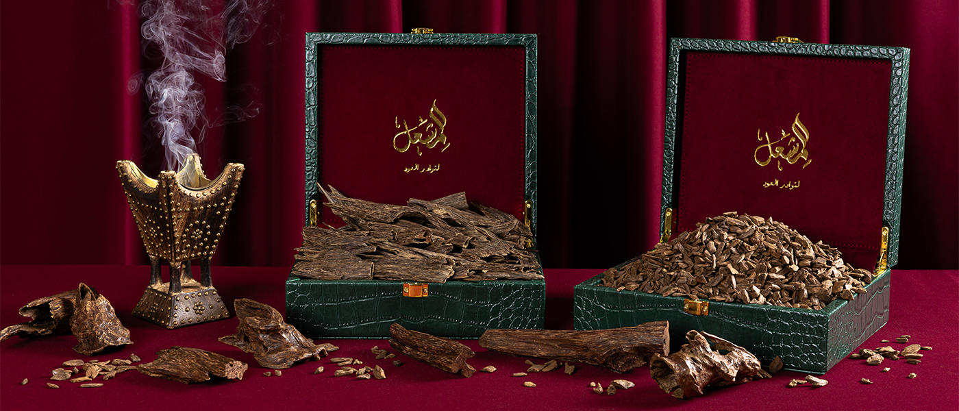 العود