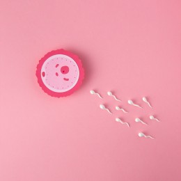 الهرمونات والخصوبة