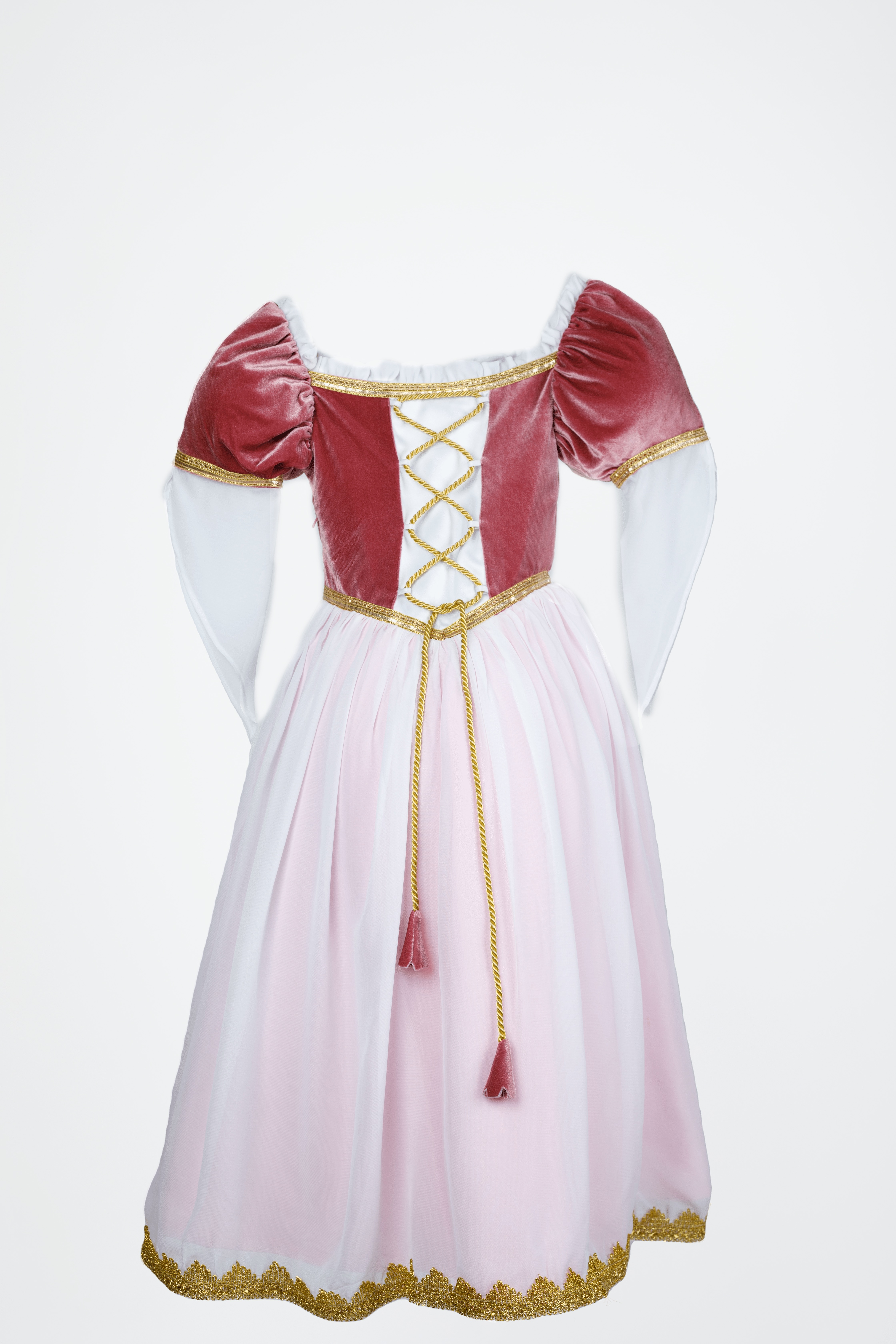 rapunzel dress multi color of shade pink  back design