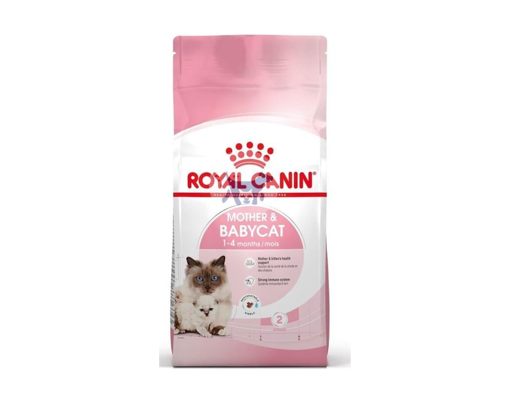 رويال كانين مذر اند بيبي طعام جاف للقطط royal canin