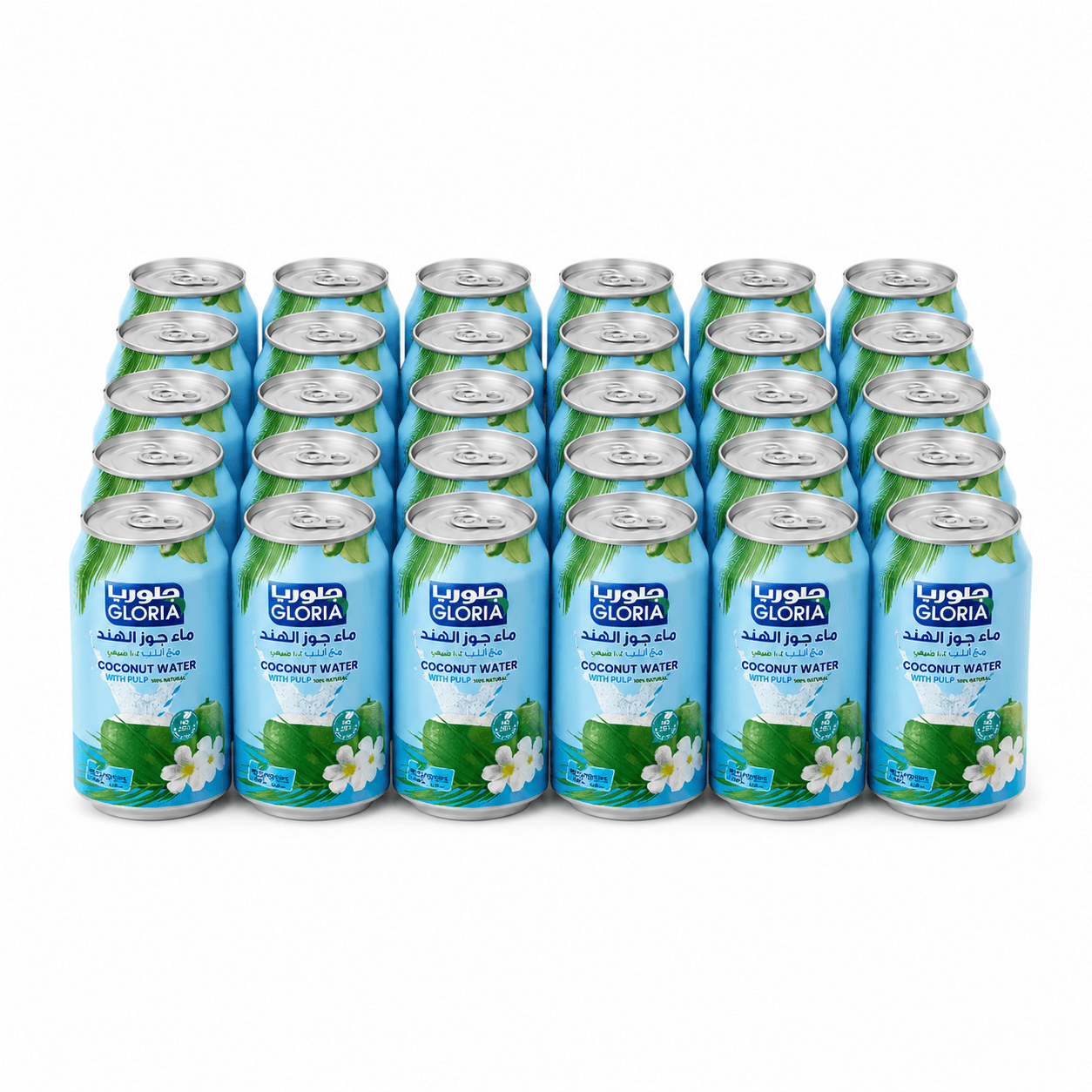 (Box of 24) Gloria Natural Coconut Water with Pulp No Added Sugar 310ml