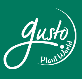 Gusto Vegan Cheese