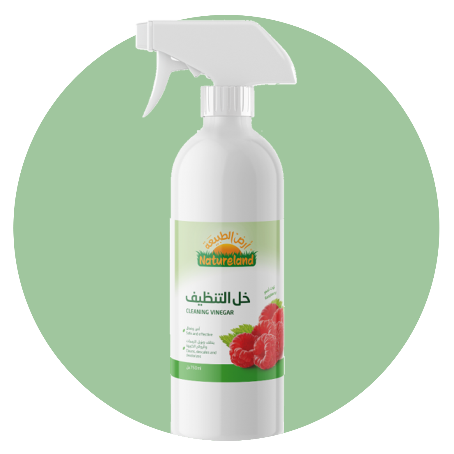 المطهرات والمعقمات