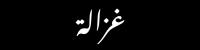 مندوب المتجر