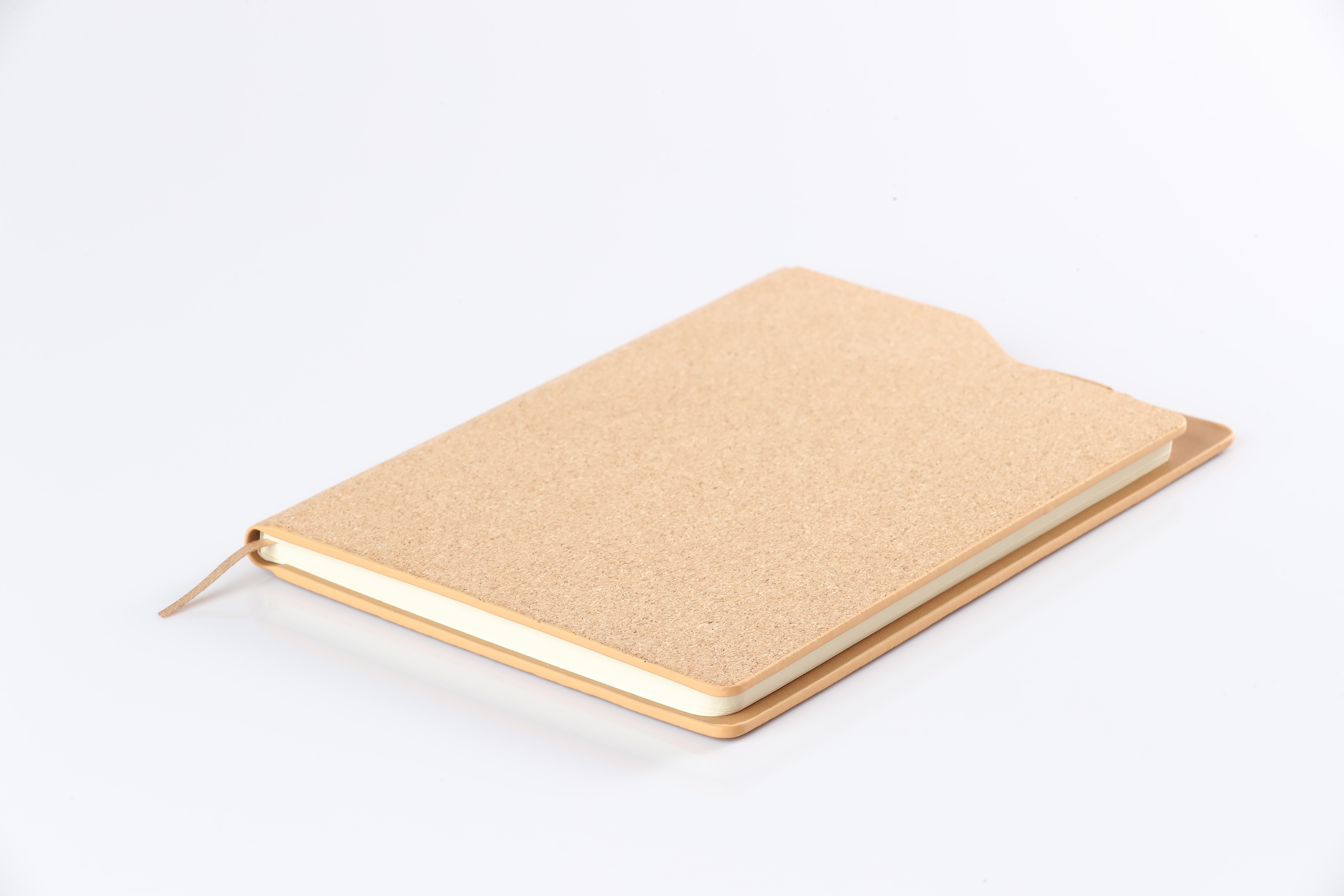 curve notebook 