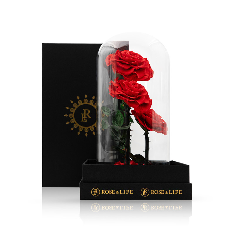  Rose & Life Three Lives and Three Worlds Dome | Colour: Red 