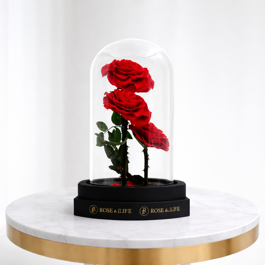  Rose & Life Three Lives and Three Worlds Dome | Colour: Red 
