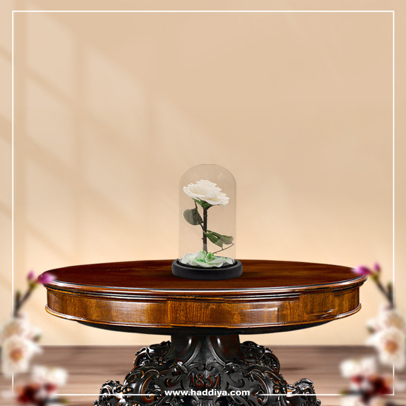  Rose & Life The Little Prince Dome | Colour: White 