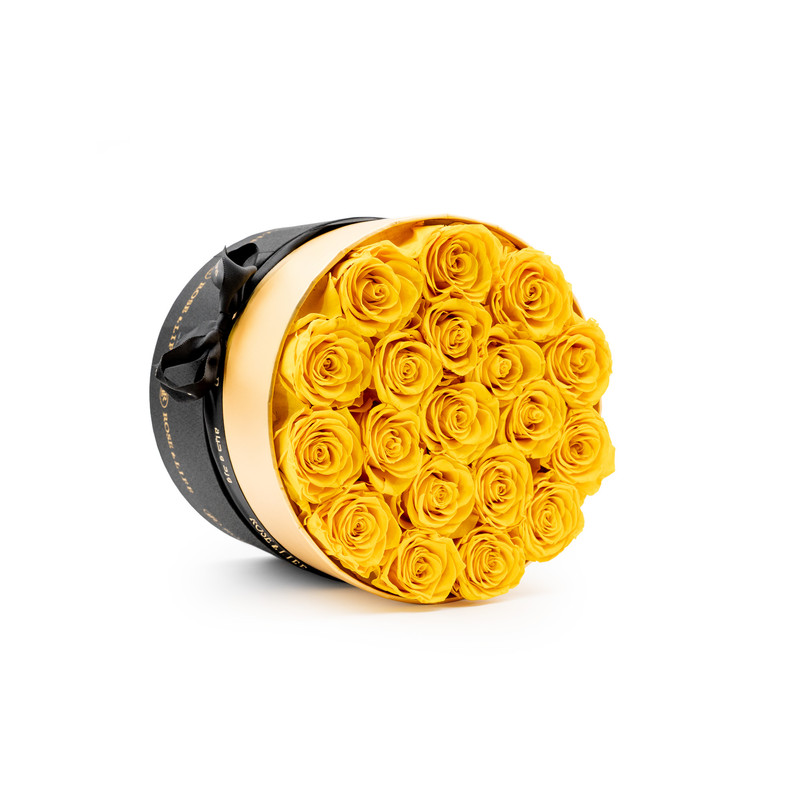  Rose & Life Passionate Embrace Hug Bucket | Colour: Yellow 