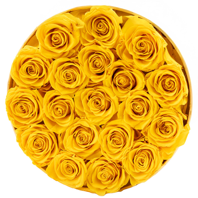  Rose & Life Passionate Embrace Hug Bucket | Colour: Yellow 
