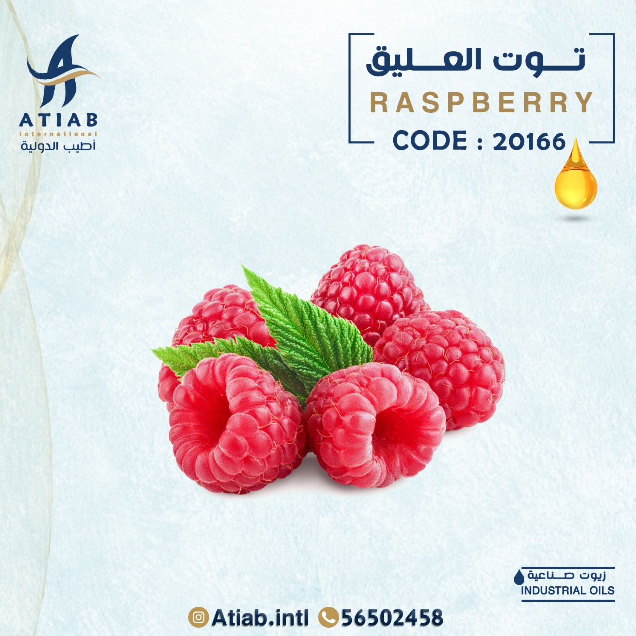 زيت توت العليق
