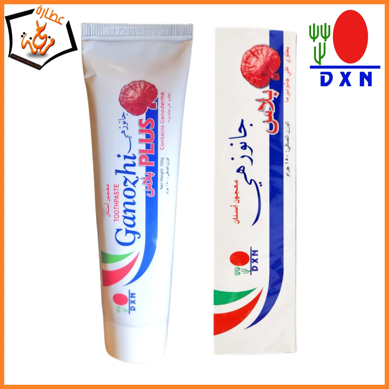 معجون جانوزي