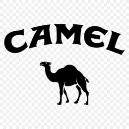 camel