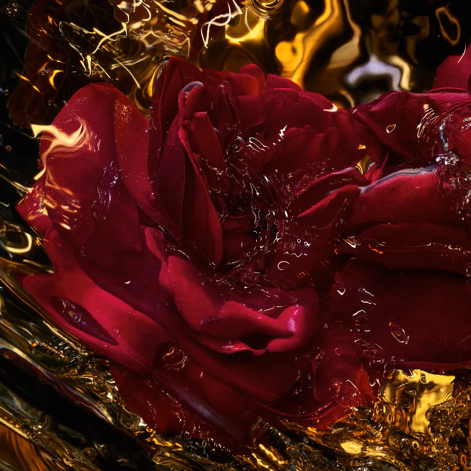 عطر جيرلان أبسولو أليجوريا روز أميرا