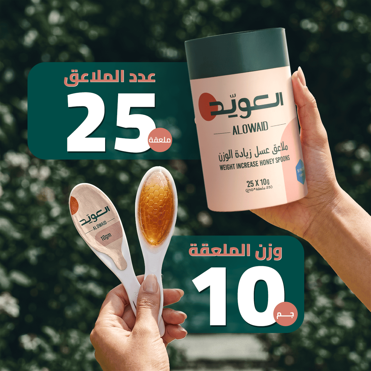ملاعق عسل زيادة الوزن (25ملعقة * 10 جم)
