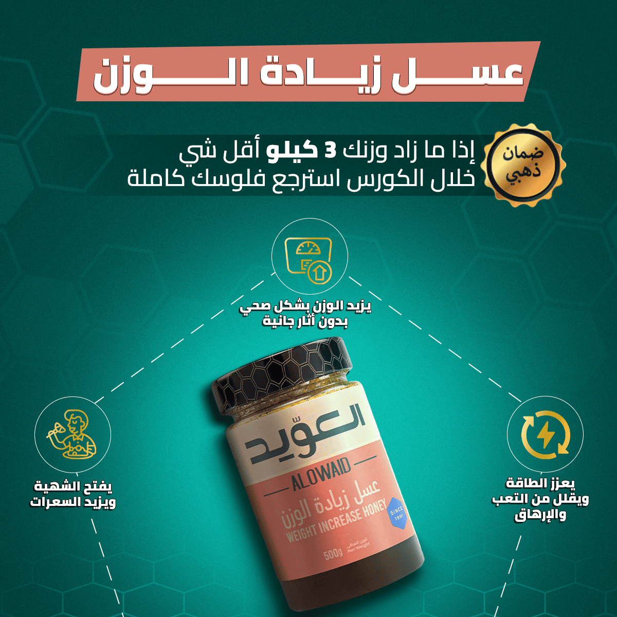 مجموعة زيادة الوزن المتكاملة 