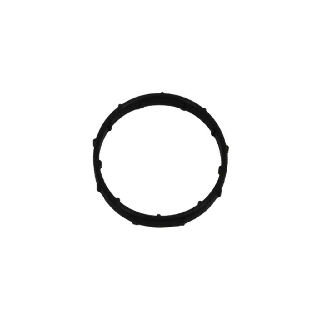 Engine Coolant Thermostat Gasket