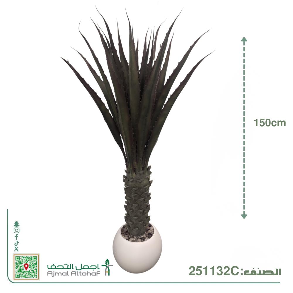 251132Cشجرة صبار أجاف (Agave) صناعية مركن بلاستك بارتفاع 150 سم . 