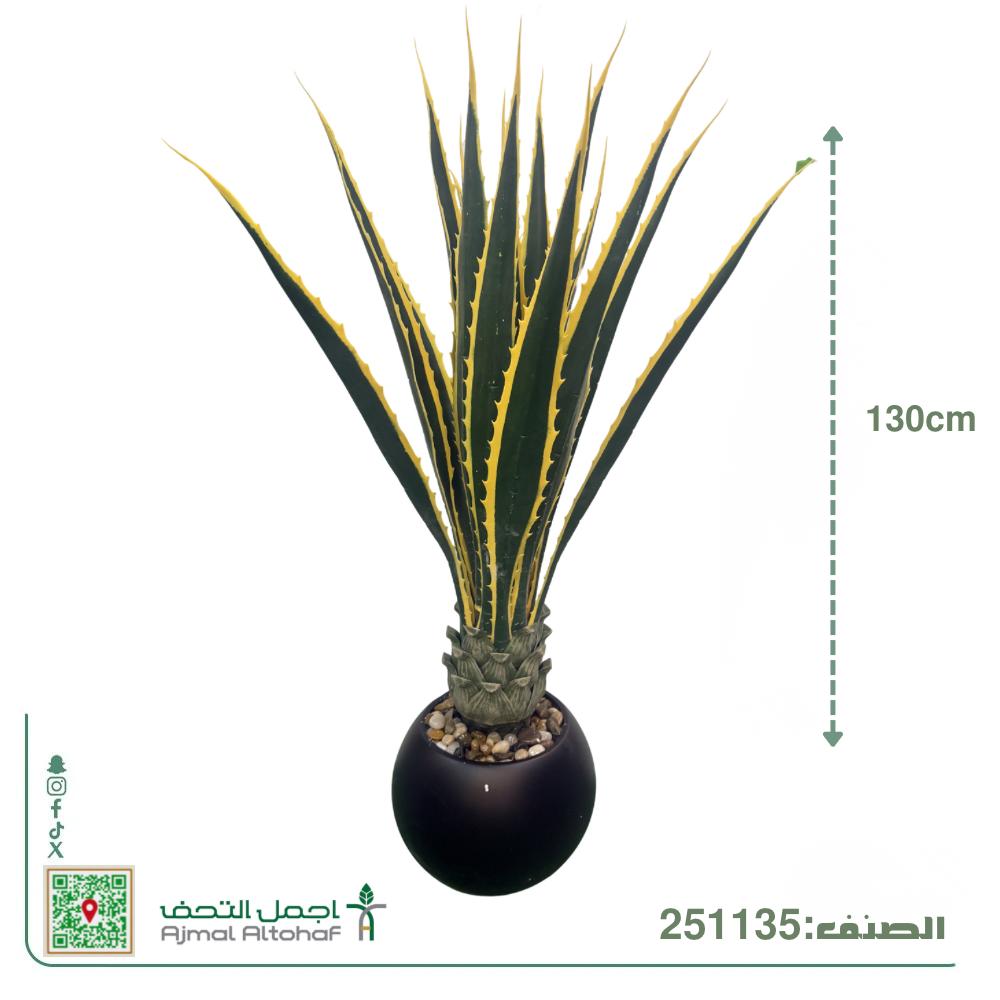  251135نبات صبار (أغاف) صناعي فاخر - ارتفاع 130 سم 