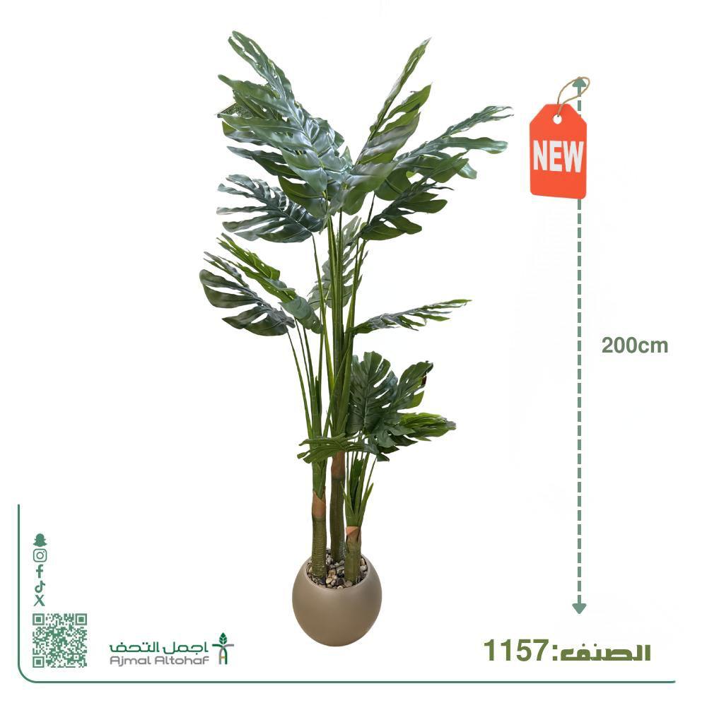  1157شجر فيلوديندرون (Philodendron) صناعي فاخر - ارتفاع 200 سم 